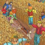 The fish in the cornfield can only be spotted by people with exceptional observational skills in just 6 seconds!
