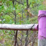 If You See A Purple Fence Post, Turn Around And Stay Away