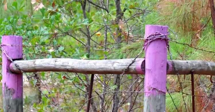 If You See A Purple Fence Post, Turn Around And Stay Away