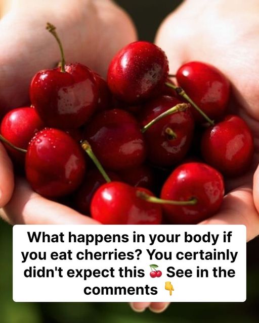 The Health Benefits of Cherries: What Happens in Your Body?