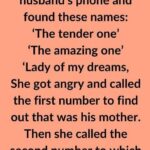 The Wife Checked Her Husband’s Phone