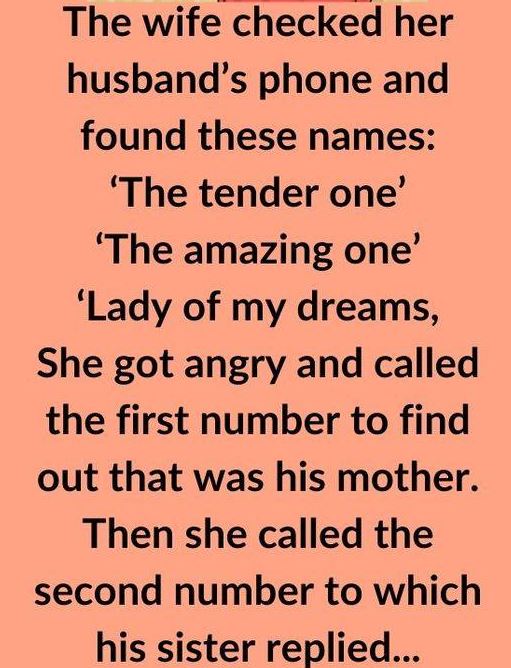 The Wife Checked Her Husband’s Phone