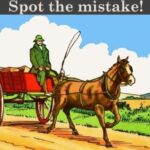 Look for the mistake in these two images!