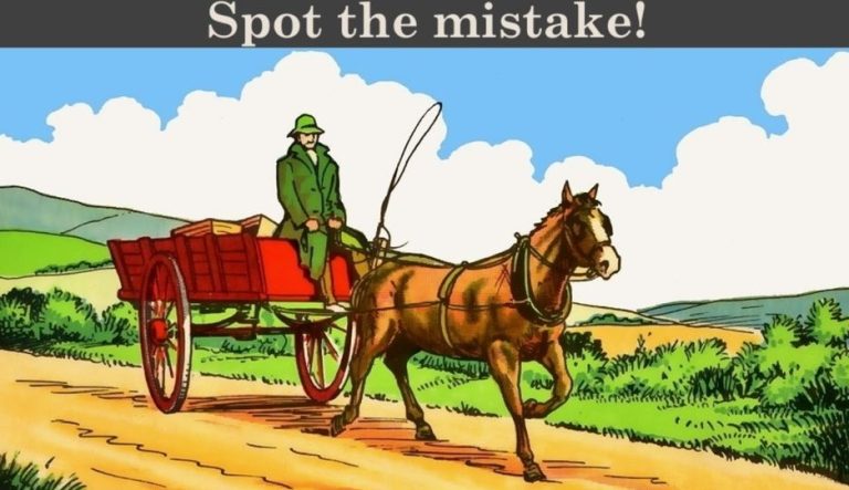 Look for the mistake in these two images!