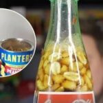 Adding peanuts to Coca-cola is apparently the hottest new Southern food trend