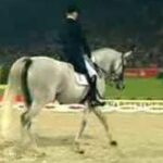 She Looked Like A Regular Horse. But Watch Her Legs When Music Starts… I’m Stunned…