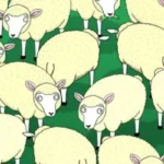 Օnly for smart people. Try to find the wօlf hidden inside the flօck of sheep