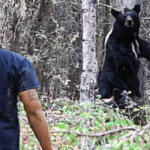 Mother Bear asks man for help, and then this happens…