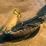 Scientists Find Ship Wreck In Middle Of Dessert, They Turned Pale After Seeing What’s Inside