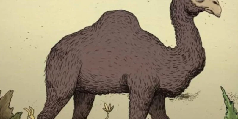 Perception test: the owner of the camel is hidden in the image, find him in 20 seconds! See the answer in the link in the comments👇👇👇👇