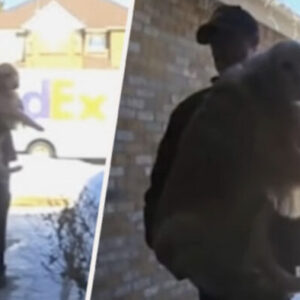 FedEx Delivery Delivered A Lost Dog Back To His Home