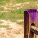 If you see a purple fence post, you need to know what it means