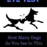 Improve Your Vision with an Eye Test