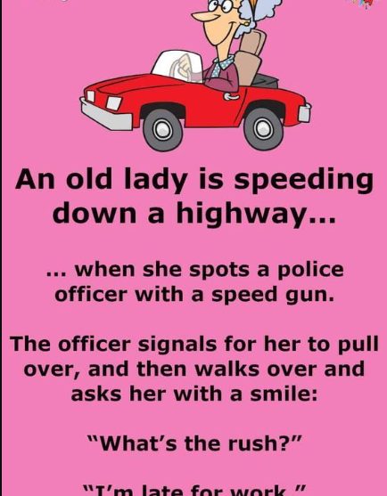 A cop pulls over an old lady for speeding - My Blog