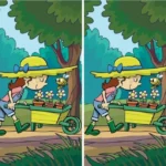 Three percent of people manage to find the difference in an image in 10 seconds