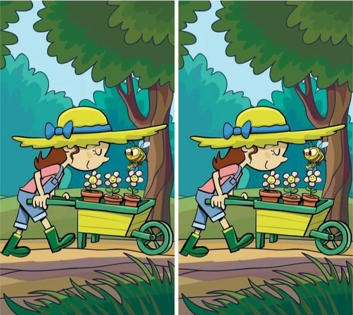 Three percent of people manage to find the difference in an image in 10 seconds