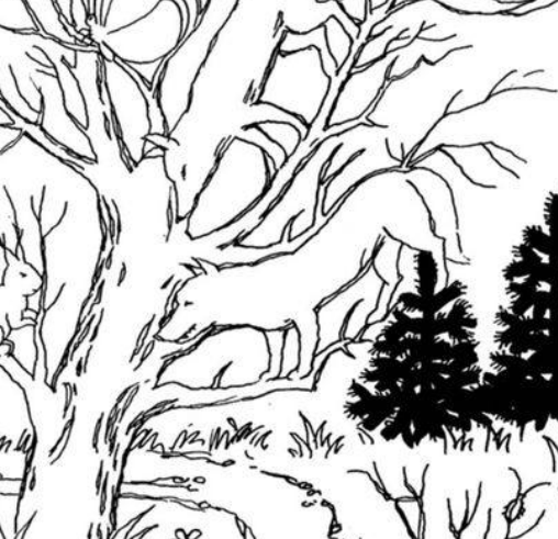 Mini-test. Animals are playing hide and seek – join the search.