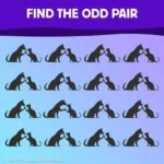 Discover Which of These 12 Images Is the Odd One Out to Test Your Brain Like a Pro