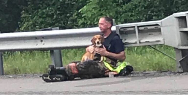 Dog Refuses to Leave Owner’s Side After Horrible Crash, Gets Comforted by Fire Marshal