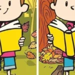 Try to find the differences hidden in the “skater” picture in 12 seconds