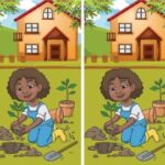 Welcome to the challenge of finding the differences in pictures within 30 seconds