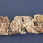 Scientists Believe These Ancient Rocks Show A Key Moment From The Bible