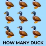 Can You Find All the Ducks?