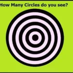 This is a test of your intelligence level—only a genius will be able to identify all the circles in the image in under nine seconds!
