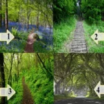 “Personality Test”: Choose a path and find out about your personality and fortune