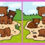 Look closely and attempt to figure out all three differences!