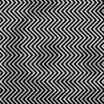 Only 1 In 100 People Can Find The Animal In This Picture