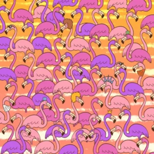 Find the small heart hidden among the flamingos. Look for the robot in the second photo as well!