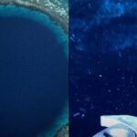 Drone dropped to bottom of The Great Blue Hole gets attacked by creature of the deep on way down