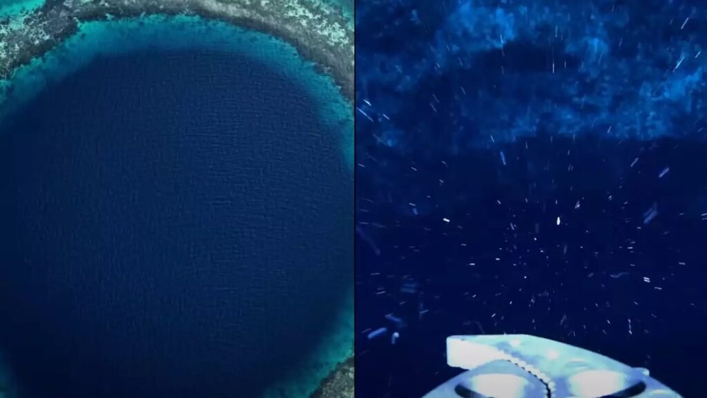 Drone dropped to bottom of The Great Blue Hole gets attacked by creature of the deep on way down