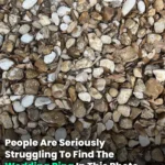 In this picture, people are really having trouble finding the wedding ring.