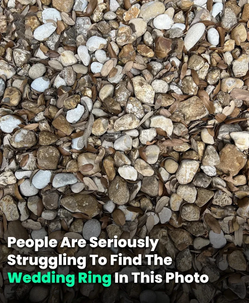 In this picture, people are really having trouble finding the wedding ring.