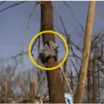 If This Is Not a Miracle, Then Tell Me What It Is