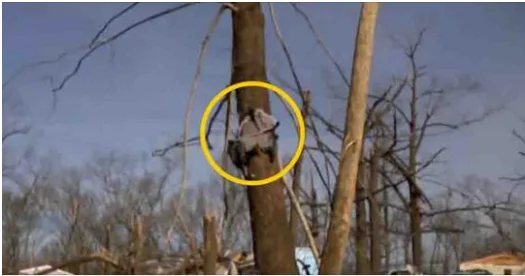 If This Is Not a Miracle, Then Tell Me What It Is