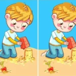 Try to find the difference between the images in 9 seconds