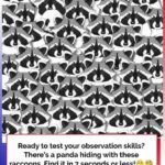 Are You Sure You’re Observant? Prove It by Finding the Hidden Panda!