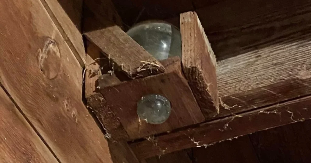 You Won’t Believe What We Found Hidden in Our Barn!