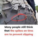 Many people still think that the spikes on tires are to prevent slipping