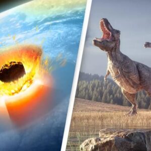 Scientists finally discover location of where asteroid that killed the dinosaurs came from