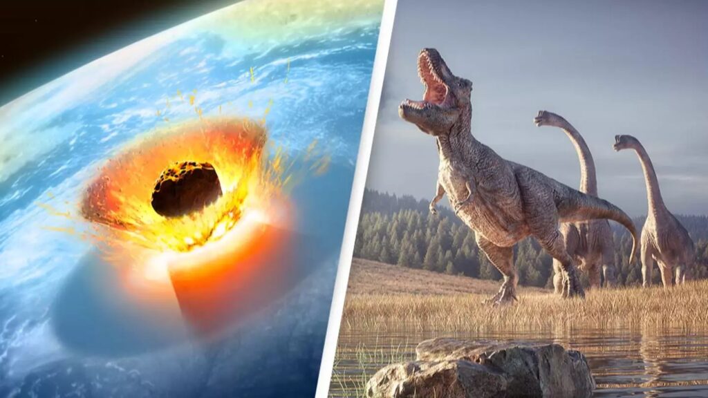 Scientists finally discover location of where asteroid that killed the dinosaurs came from