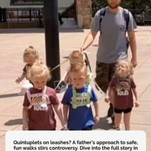 Why This Dad’s Quintuplet Leashes Might Just Be Genius