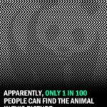 Studies Say Only 1% Of People Can Find The Animal In This Picture. Can You?