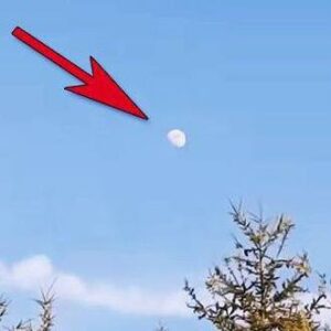 (VIDEO)He Points His Camera At The Moon And Zooms In All The Way. What It Captured Is STUNNING!