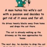 A man’s feelings for his wife’s cat are about to lead to a big change.