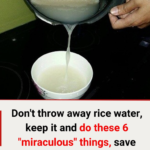 Don’t throw away rice water! Keep it and try these 6 “miraculous” uses to save millions every year.