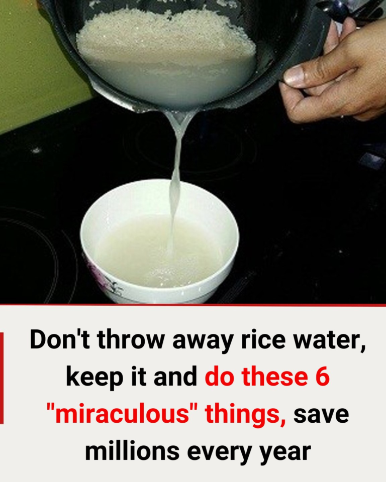Don’t throw away rice water! Keep it and try these 6 “miraculous” uses to save millions every year.